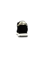 ai24 sun68 z44202 ally gold silver43112p